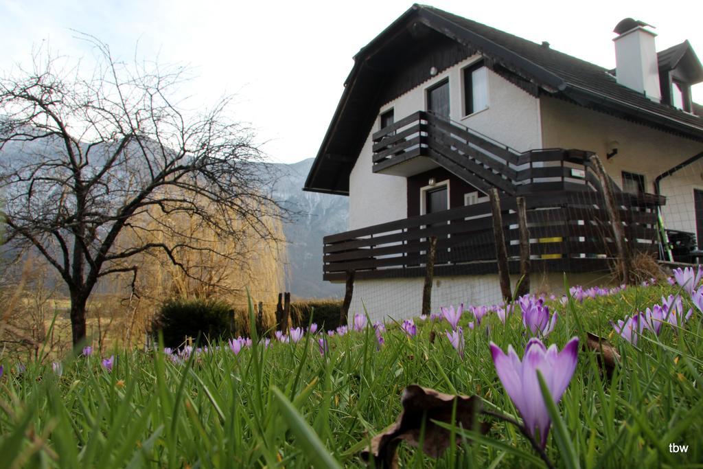 Apartments Tatjana Бовец Екстер'єр фото
